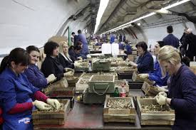 Potop dionica Igmana, za dan “izbrisano” 15 miliona KM