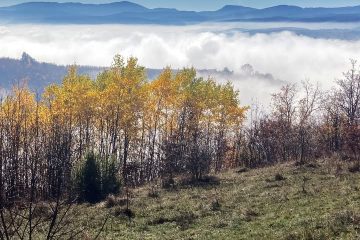 Jutro maglovito , preko dana sunčano