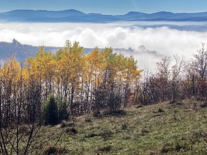 Jutro maglovito , preko dana sunčano