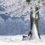 Jutro hladno, preko dana sunčano i hladno