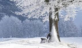 Jutro hladno, preko dana sunčano i hladno