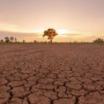 Donji Vakuf – El Niño zvanično počeo: Naučnici upozoravaju na “super fenomen” i rekordne vrućine